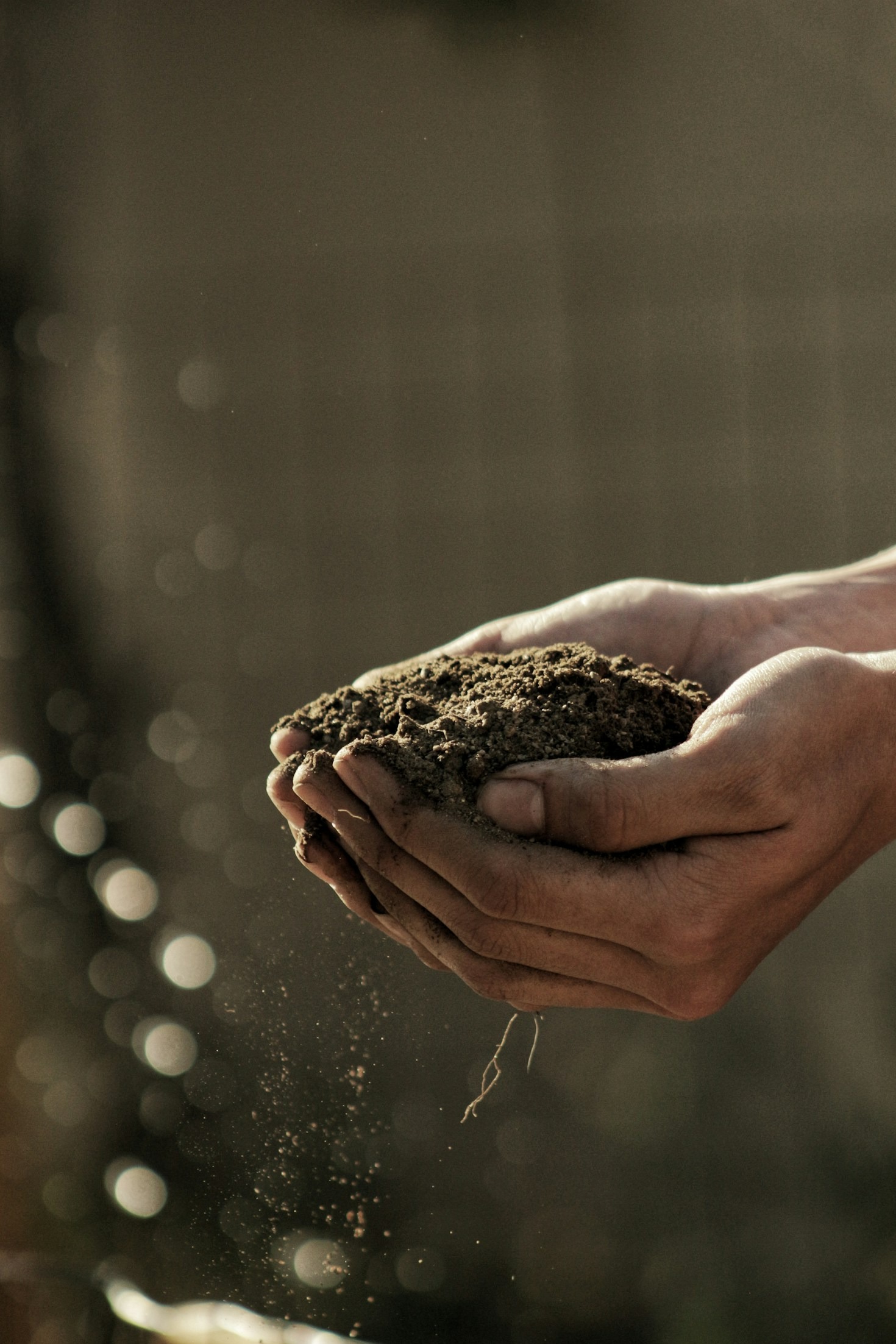 7 Simple Daily Practices for Really Connecting with Christ