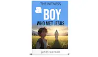THE WITNESS A BOY WHO MET JESUS